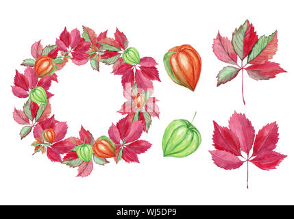 Set di autunno foglie rosse e ghirlanda di uva, physalis. Illustrazione ad acquerello isolati su sfondo bianco. Foto Stock