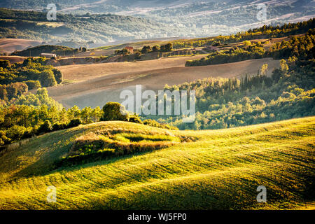 Paesaggio con colline, cipressi, alberi in Toscana, Italia al tramonto Foto Stock