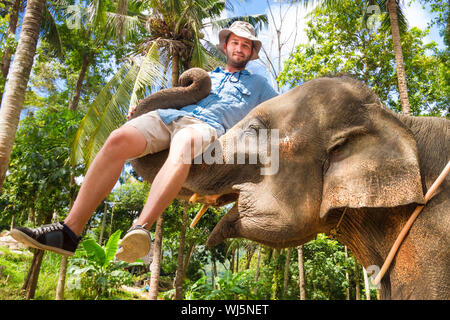 Addomesticazione elephan sollevamento di un turista con il suo tronco. Foto Stock