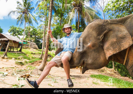 Addomesticazione elephan sollevamento di un turista con il suo tronco. Foto Stock