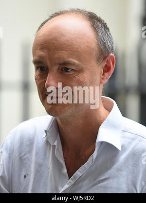 Senior aide al primo ministro Dominic Cummings, a Downing Street in Westminster, Londra. Foto Stock