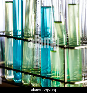 Laboratorio di prova di vetro tubi riempiti di liquido chimico su un rack per un esperimento di un Science Research Lab. Foto Stock