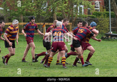 Le persone che partecipano a giocare a rugby, Clitheroe, Lancashire. Foto Stock