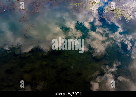 Sky riflettendo su scuro, quasi sempre acqua, con poche piante acquatiche, fiume Marne, Nogent-sur-Marne, Francia Foto Stock