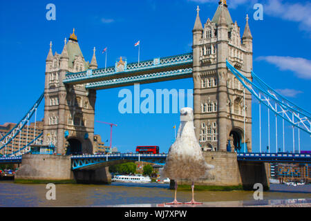 Messa a fuoco selettiva su un inglese seagull. in background l antica Torre di Londra nel Regno Unito Foto Stock