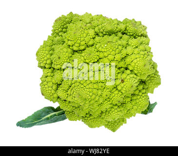 Testa di Broccolo romanesco freschi Cavoli broccoli intaglio su sfondo bianco Foto Stock