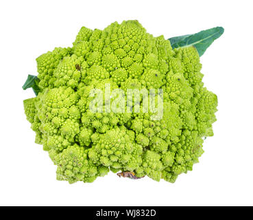 Romanesco freschi Cavoli broccoli intaglio su sfondo bianco Foto Stock
