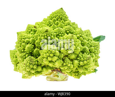 Verde romanesco Cavolo broccolo intaglio su sfondo bianco Foto Stock