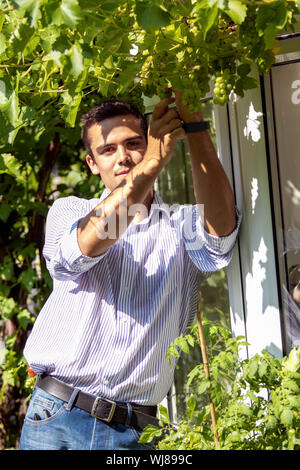 Attraente uomo che tende alla sua casa verde coltivate uve e vitigni nel suo giardino Foto Stock