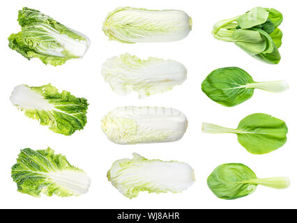 Varie foglie fresche e testa Cavoli cinesi tagliati su sfondo bianco Foto Stock