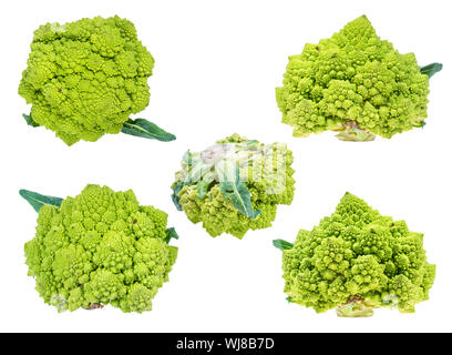 Varie freschi Broccolo romanesco capi ritagliata su sfondo bianco Foto Stock