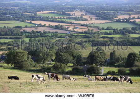 La vista attraverso i campi nei pressi di Tory collina nella parte meridionale della Contea di Kilkenny nella Repubblica di Irlanda in una sera d'estate Foto Stock