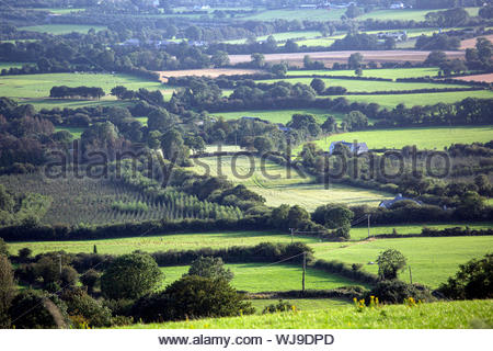 La vista attraverso i campi nei pressi di Tory collina nella parte meridionale della Contea di Kilkenny nella Repubblica di Irlanda in una sera d'estate Foto Stock