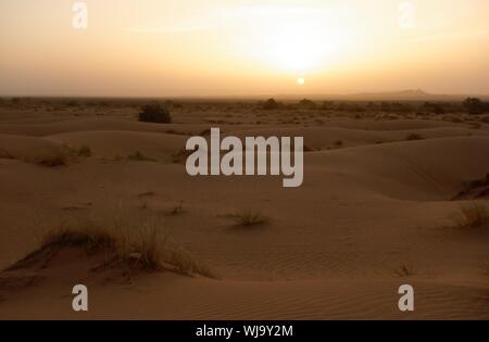 Sahara dune di sabbia di Erg Chebbi Marocco Foto Stock