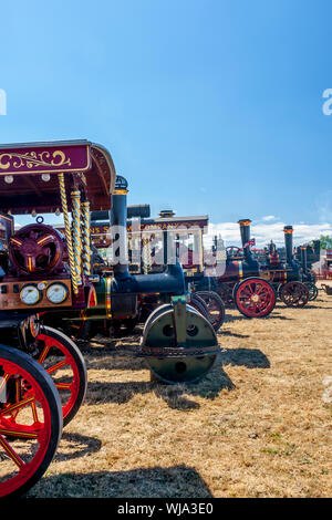 Un line-up di vernice brillante e ottone lucidato su un assortimento di motori di trazione al 2018 Bassa prosciutto Rally di vapore, Somerset, Inghilterra, Regno Unito Foto Stock