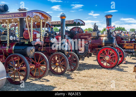 Un line-up di vernice brillante e ottone lucidato su un assortimento di motori di trazione al 2018 Bassa prosciutto Rally di vapore, Somerset, Inghilterra, Regno Unito Foto Stock