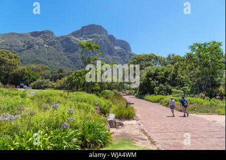 Kirstenbosch National Botanical Garden guardando verso il fronte orientale di Table Mountain e Cape Town, Western Cape, Sud Africa Foto Stock