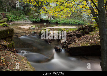 Scenic colpo di rapids che scorre lungo la foresta Foto Stock