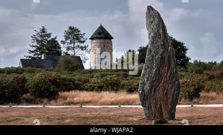 Uno dei megaliti di allineamento del sud in San solo Francia Foto Stock