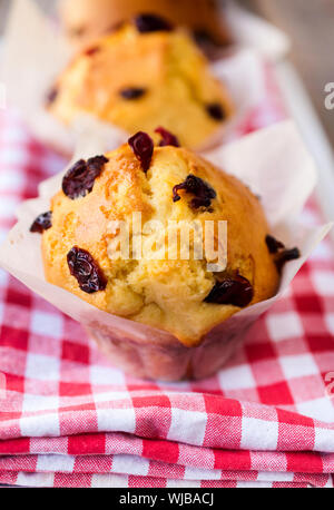 In casa tradizionale con muffin ai mirtilli secchi.Il fuoco selettivo sui muffin anteriore Foto Stock