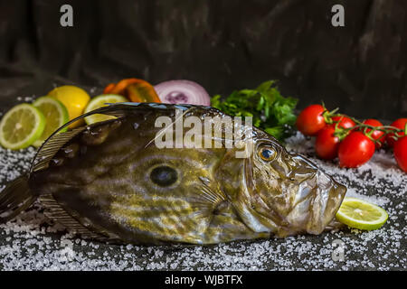 Crudo fresco pesce del Mediterraneo John Dory pronto per cuocere sul sale su sfondo scuro con spazio di copia Foto Stock