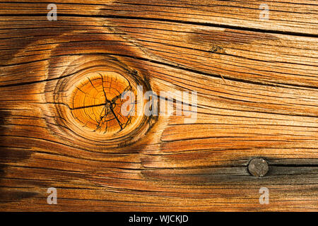 Interessante meteo arancione asse di legno con un grosso nodo Foto Stock