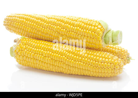 Mature di mais giallo isolato su bianco Foto Stock