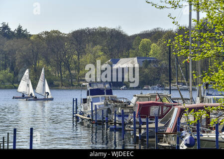 Investor, Berlino, Berlino-Tegel, barca, imbarcazioni, investitori, imbarcadero, pontili, Germania, big Malche, big Malche, porto, ormeggi, moorin Foto Stock