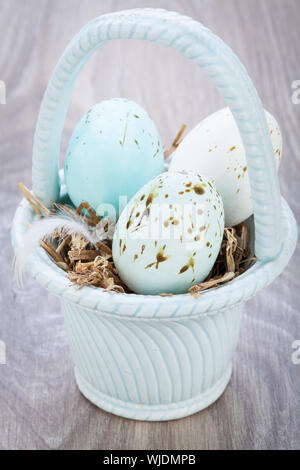 Tre blu naturale tinti di uova di Pasqua in un cestello con un singolo uccello giù per un rustico stagionale simbolica celebrazione della Risurrezione di Cristo Foto Stock