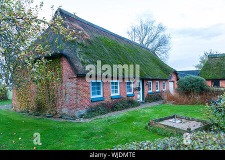 Casa residenziale con un muschio verde tetto di paglia Foto Stock