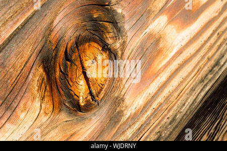 Interessante meteo arancione asse di legno con un grosso nodo Foto Stock