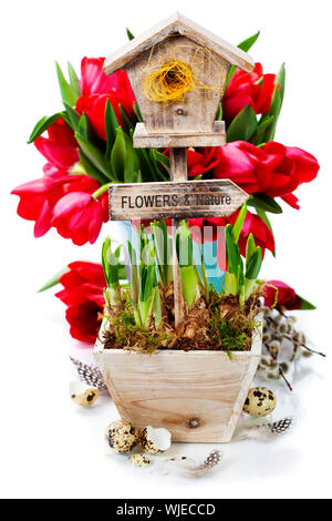 Potted daffodils, Branch of a willow  and little birdhouse over white - spring and easter concept Foto Stock