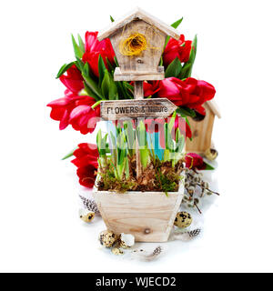 Potted daffodils, Branch of a willow  and little birdhouse over white - spring and easter concept Foto Stock