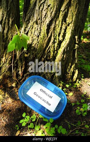 Concetto di geocaching con blue geocache box che mostra gli sport outdoor concept Foto Stock