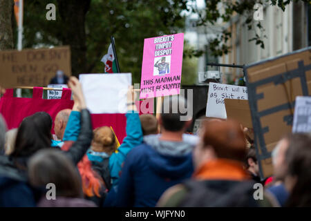 Cardiff Wales, Regno Unito, 3 settembre 2019. Persone protestano contro il governo del Regno Unito di primo ministro Boris Johnson con cartelli a Aneurin Bevan st Foto Stock