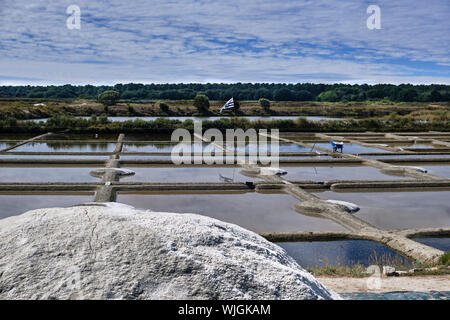 Le saline di Guérande Loire-Atlantique Pays de la Loire Foto Stock