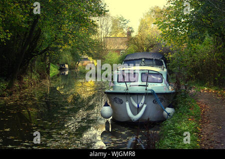 Barca bianca su Caldon canal in autunno Foto Stock