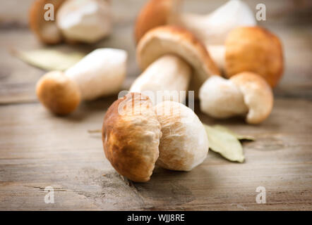 Fungo Porcino su sfondo di legno. In autunno i funghi porcini Foto Stock