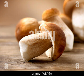 Fungo Porcino su sfondo di legno. In autunno i funghi porcini Foto Stock