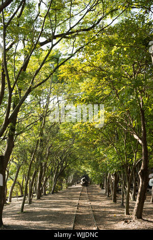 Foresta con la ferrovia, un colpo a Luodong cultura forestale giardino, Yilan, Taiwan, Asia. Foto Stock
