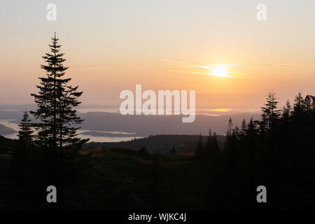 Tramonto su i fiordi al di fuori di Bergen, Norvegia, incorniciato da alberi sempreverdi in silhouette. Foto Stock