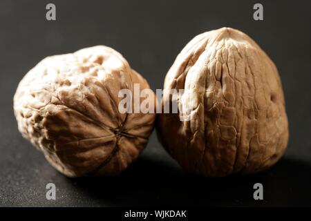 Due noci comuni con guscio su sfondo nero Foto Stock