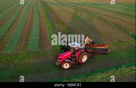 Vista aerea del rosso Massey Ferguson 1880 trattore sfalcio e taglio di erba medica campo di fieno al tramonto al di fuori di Monroe, Wisconsin, STATI UNITI D'AMERICA Foto Stock