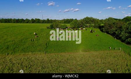 Vista aerea del Sunset over Brattset fattoria di famiglia, un organico di carni bovine fattoria con erba bestiame alimentato, Jefferson, Wisconsin, STATI UNITI D'AMERICA Foto Stock