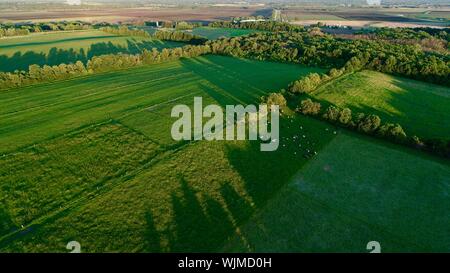 Vista aerea del Sunset over Brattset fattoria di famiglia, un organico di carni bovine fattoria con erba bestiame alimentato, Jefferson, Wisconsin, STATI UNITI D'AMERICA Foto Stock