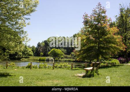 Vista del lago nella foresta. Sede sotto l'albero. Il primo tempo di primavera è stata presa. Foto Stock