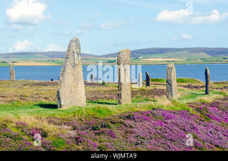 Anello di Brodgar eretta 2500BC-2000BC è il terzo più grande cerchio di pietra delle Isole Britanniche. Foto Stock