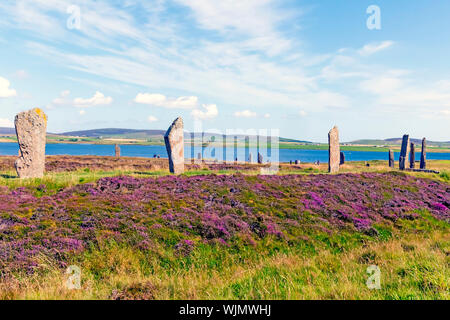 Anello di Brodgar eretta 2500BC-2000BC è il terzo più grande cerchio di pietra delle Isole Britanniche. Foto Stock