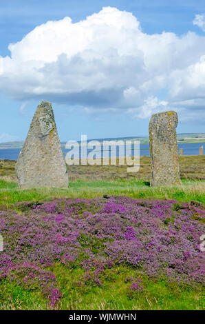 Anello di Brodgar eretta 2500BC-2000BC è il terzo più grande cerchio di pietra delle Isole Britanniche. Foto Stock