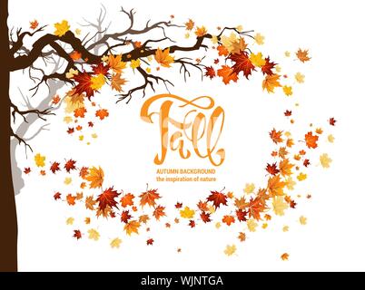 Orange autunno foglie e rami telaio. Natura background di design. Caduta foglie di acero illustrazione con posto per il testo. Illustrazione Vettoriale